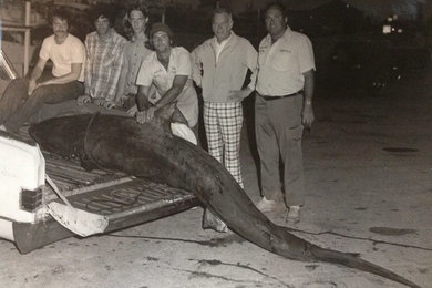 11 Foot Stuffed Shark - Catch of The Year 1976!!