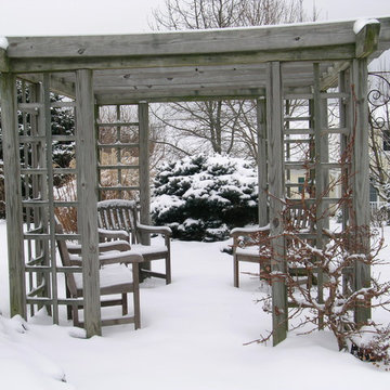 Winter In The Garden