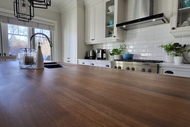 Kitchen - transitional kitchen idea in Toronto
