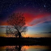 Ben Johnston's photo