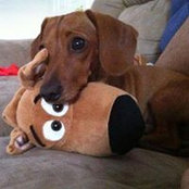 Annette Sedon's photo