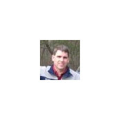 steve oneils billede