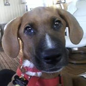 Jody Chiumento's photo