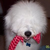 Ellen Reiser's photo