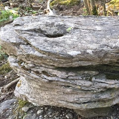 Irish Limestone