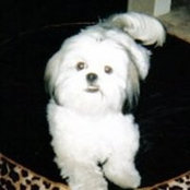 Foto von Cecile Frey