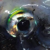 George Tsiotsios's photo