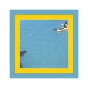 Boston Kayak Guy's photo