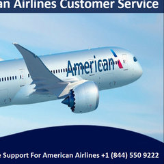American Airlines Service