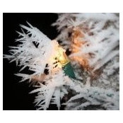 Kelli Raber's photo