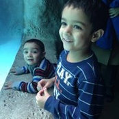 Mohammad Malik's photo
