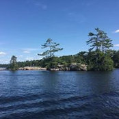 Kim Simmonds's photo