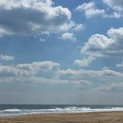 Kelly Hoff's photo