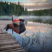 Dave P's photo