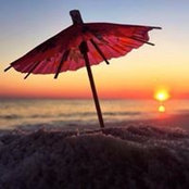 Julie Foster Cheatwood's photo