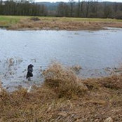 Isaac Jarrett's photo