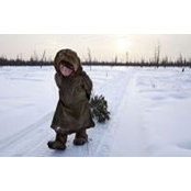 Diana Goodwin's photo