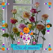 Photo de Lisa Padilla