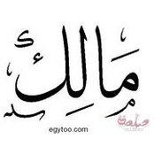 Amr Elashry's photo
