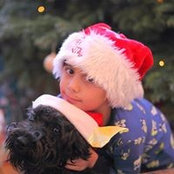 Hugh McCullen's photo