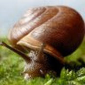 Lindsay Stangroom's photo
