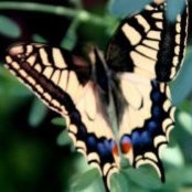 Andria Lossberg's photo