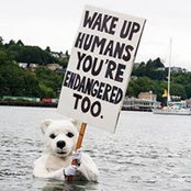 Spike Mafford's photo