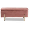 Aaran Glam Velvet Fabric Upholstered Storage Bench Pink