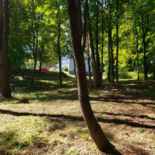 Landscapes Before