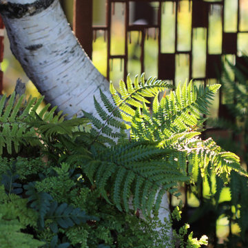 A plant lover's paradise