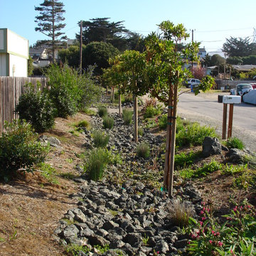 Natural Drainage