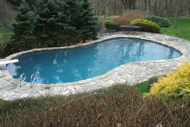 Pool - large rustic backyard stone and custom-shaped natural pool idea in New York
