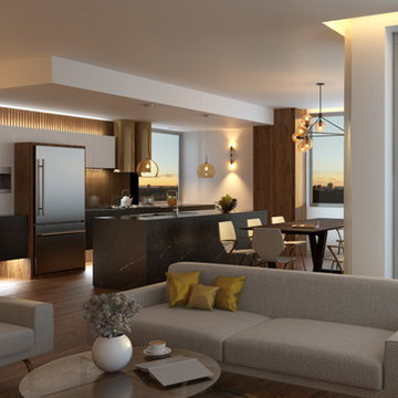 Palatia Apartments ... Skyhomes