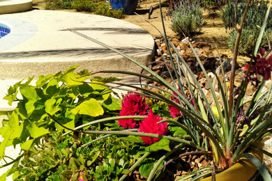 Photo of a full sun backyard landscaping in Las Vegas.