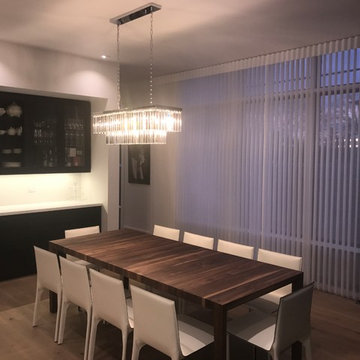 Modern Home in Toronto