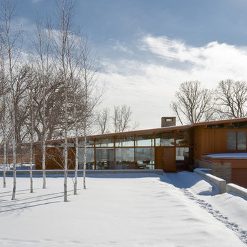 Modern Landscape