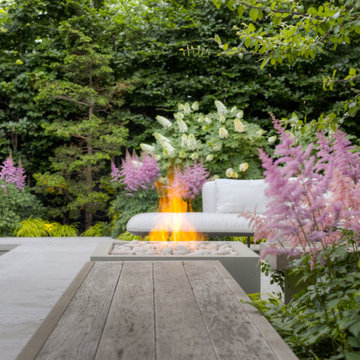 Forest Hill Modern Backyard
