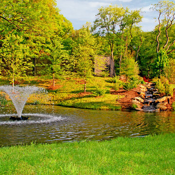 Suburban Estate
