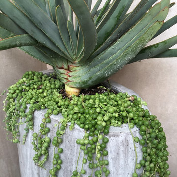 Crest Custom Planters