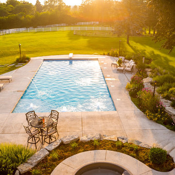 Backyard Pool, Patio, Perennials, and FUN in Barrington, IL