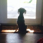 Karen Murphy's photo