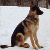 Peggy Geimer's photo
