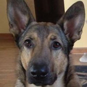 Melissa Dinkins's photo