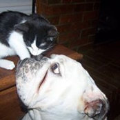 Patty Hacker's photo