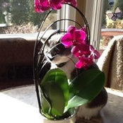 Kris Gressman's photo