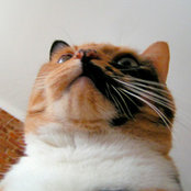 Jenny Atkins's photo