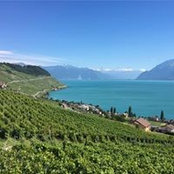 Sébastien Pilat's photo