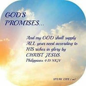 Jackie Bauerle's photo