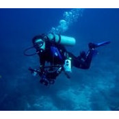 Troy Rushton's photo