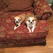 Jennifer Witucki's photo